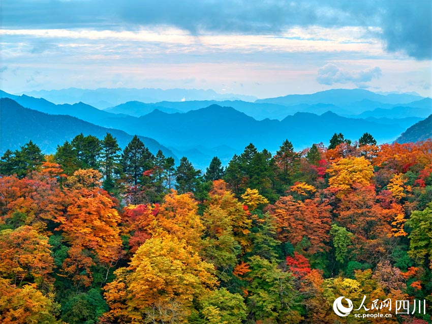 群山疊翠，彩林生輝。胡宇攝