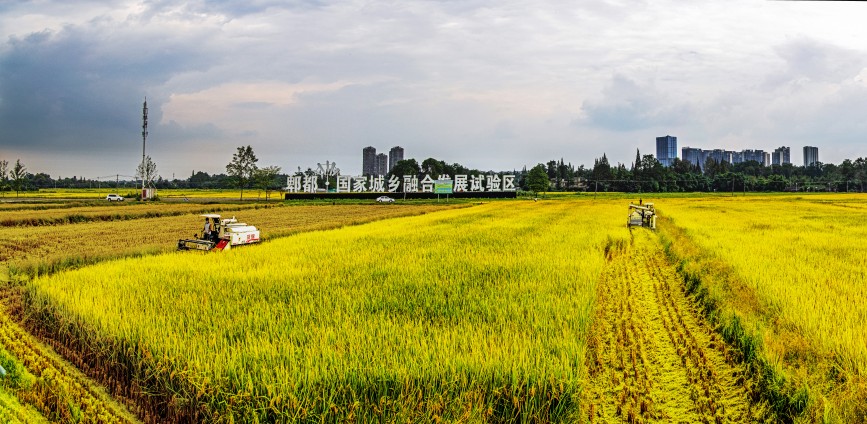 郫都-國家城鄉融合發展試驗區。郫都區人民政府供圖