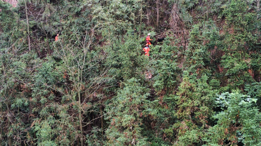 兒童失蹤地點山勢陡峭、草深林密。宜賓市公安局供圖
