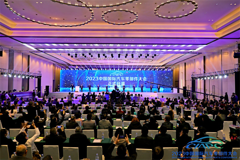 開幕式現場。主辦方供圖