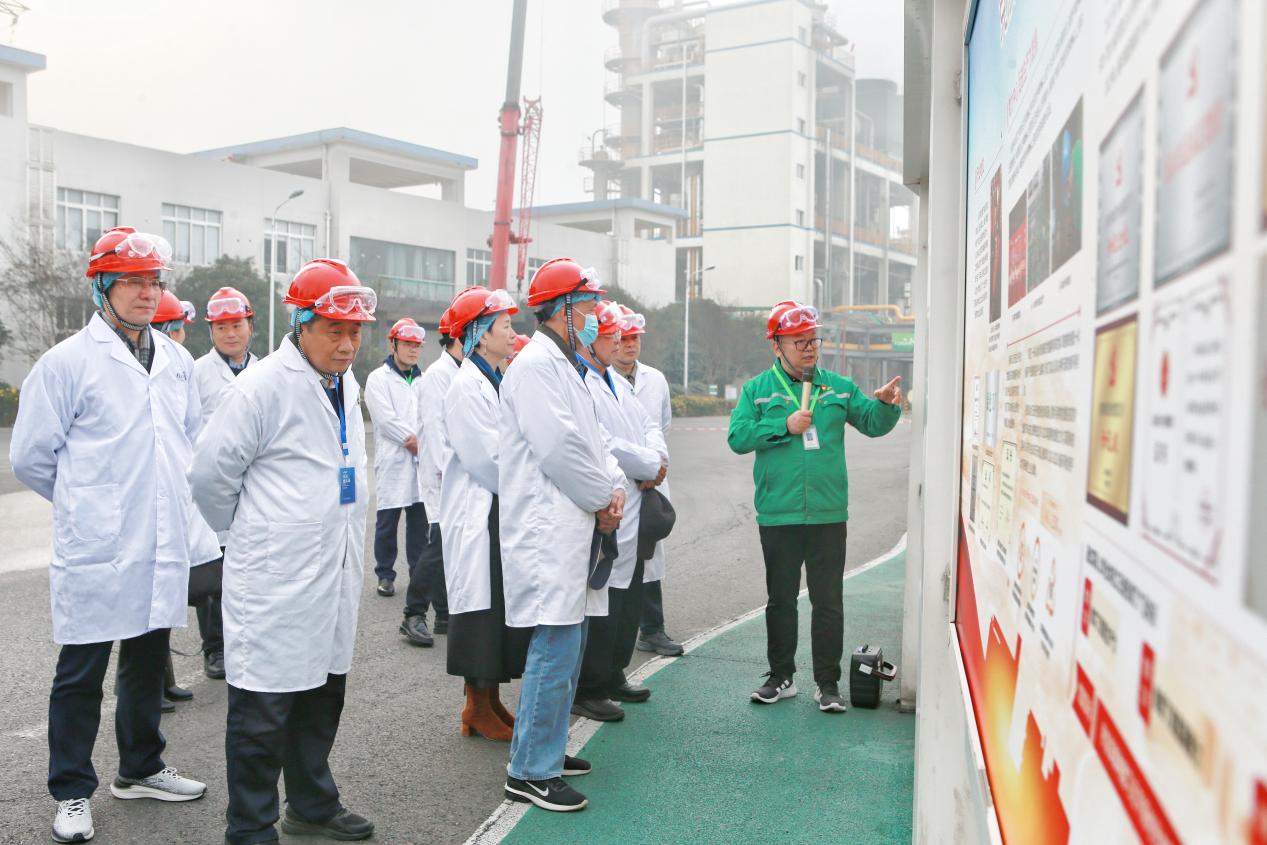 調研組專家一行在福華農化循環園區調研該企業非公黨建工作開展情況。