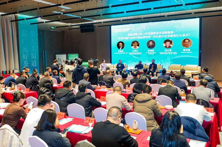 論壇現場。主辦方供圖