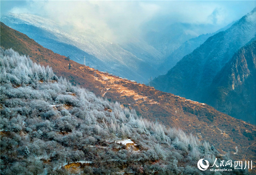 原馳蠟象，欲與天公試比高。胡宇攝