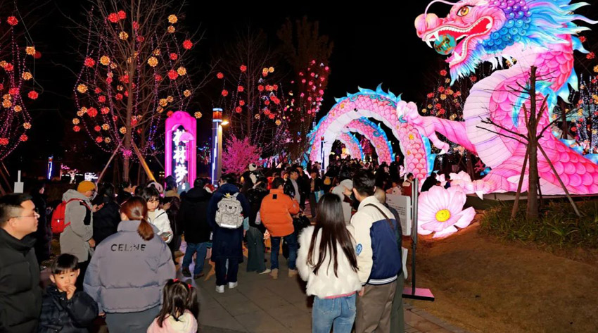 龍的傳人看龍燈，龍的子孫助龍騰。龍泉驛融媒體中心供圖