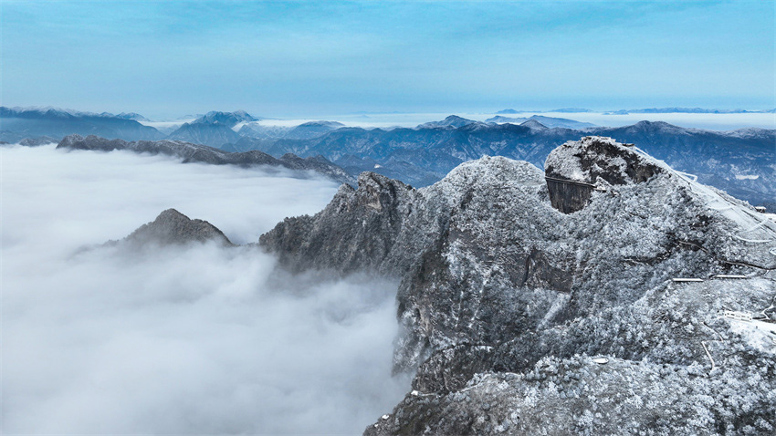 龍飛鳳舞慶新年。石仲攝