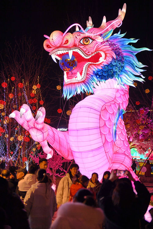 燈會上栩栩如生的龍。主辦方供圖