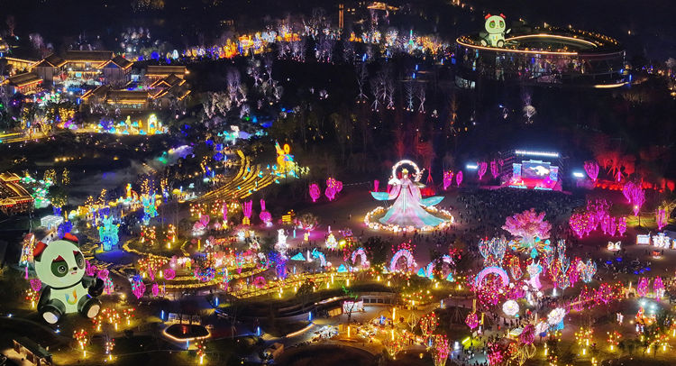 燈會一角。主辦方供圖