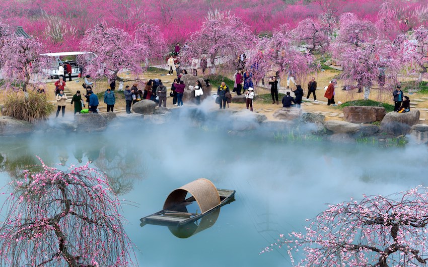 花海間，游人如織。嘉楠攝