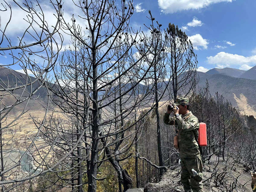 民兵正在火場觀察火情。解必彥攝
