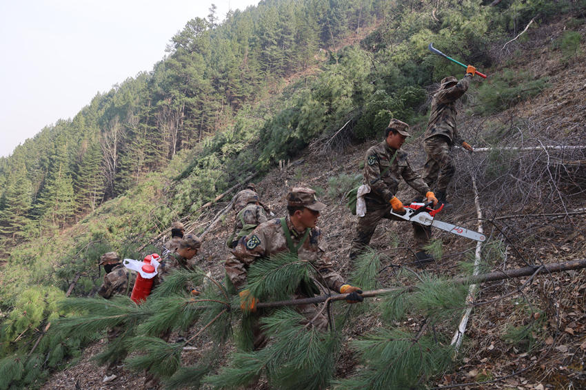民兵正在開辟隔離帶。甘立偉攝