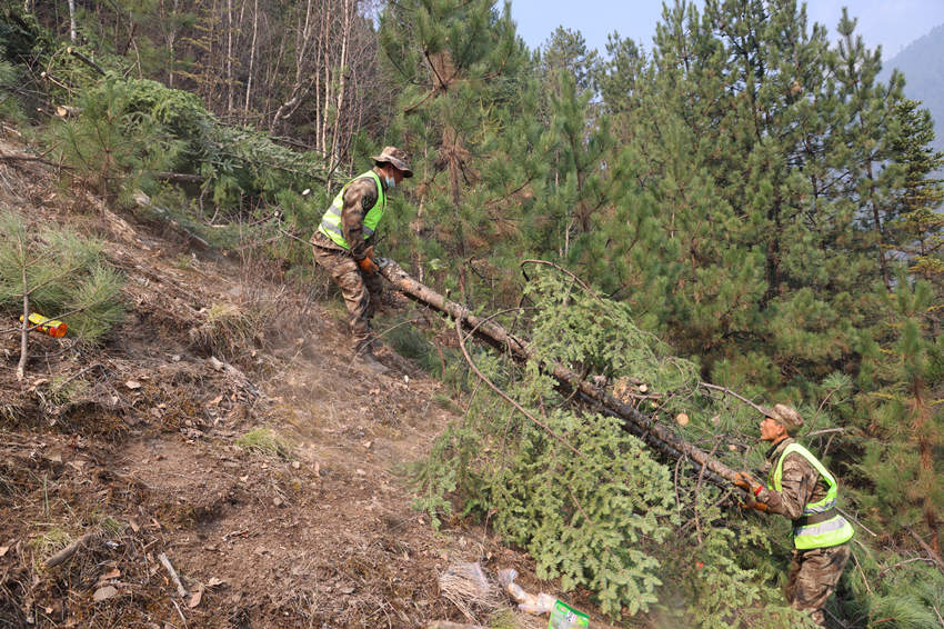民兵正在開辟隔離帶。甘立偉攝