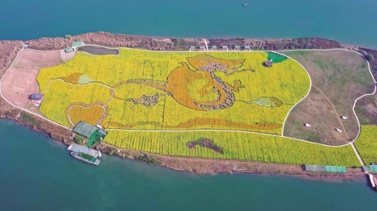 航拍武勝縣中心鎮應龍島。