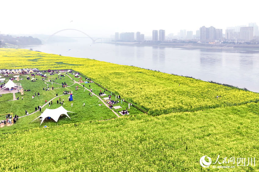 水清岸綠，游人如織。李貴平攝