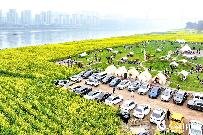 眾多游客前來露營賞花。李貴平攝