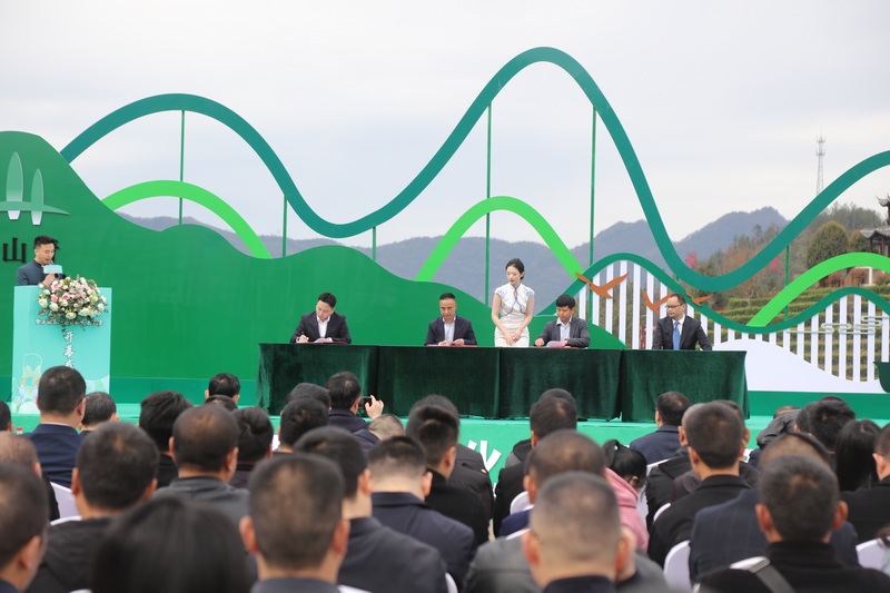 托底性幫扶萬源單位與萬源茶企現場簽約。馬發海供圖