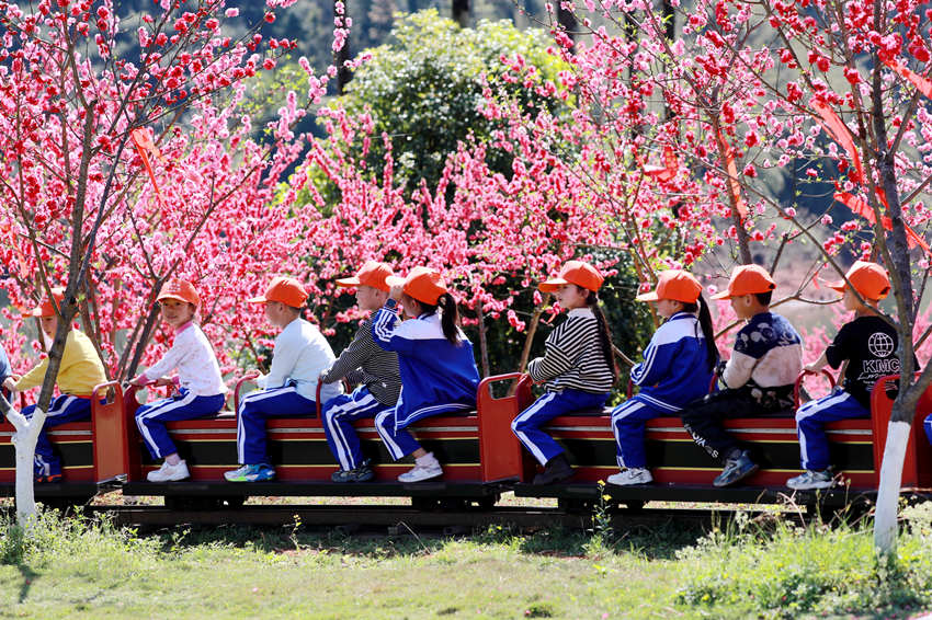 小朋友們在桃花園賞花游玩。廖勝春攝