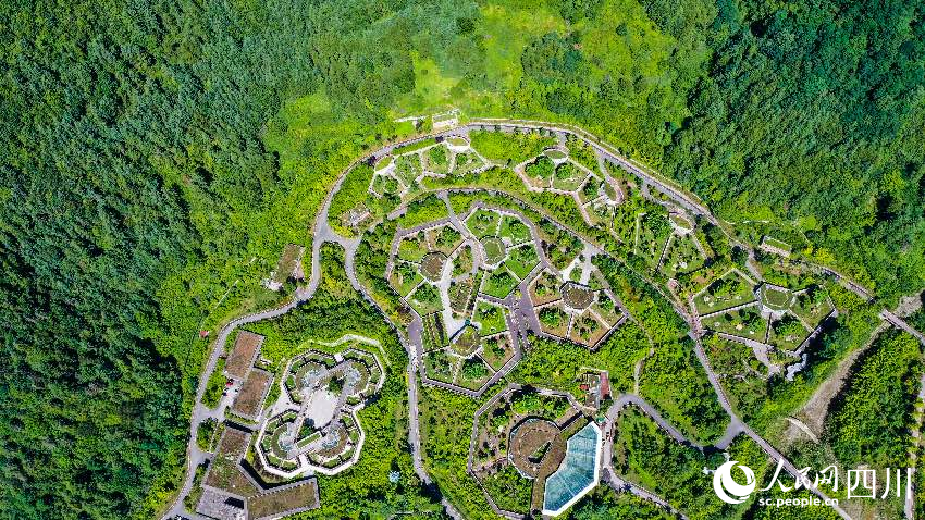 大熊貓“福寶”的新家——熊貓中心臥龍神樹坪基地。李傳有攝