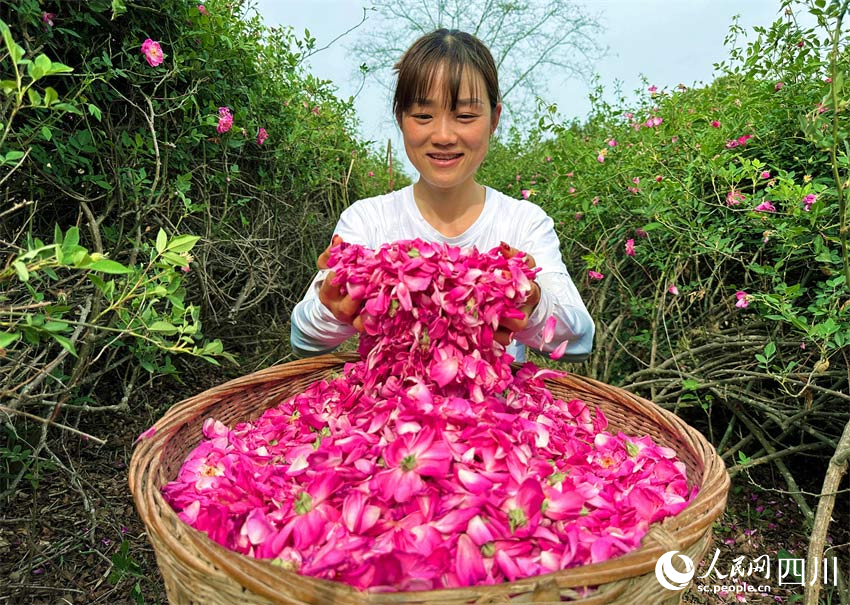 手捧花瓣笑開顏。人民網記者 劉海天攝