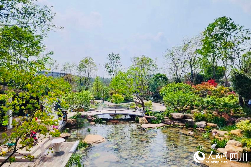 世園會現場。人民網記者 朱虹攝