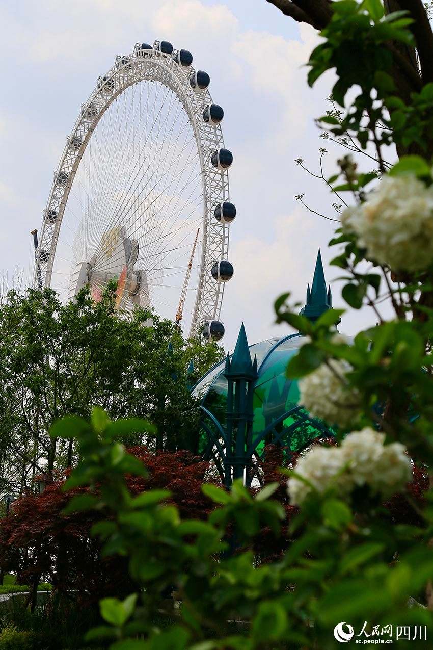 世園會現場。人民網記者 朱虹攝