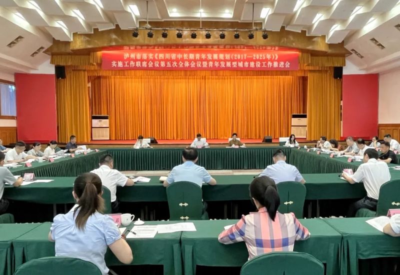瀘州市青年發展型城市建設工作推進會。朱菊云供圖
