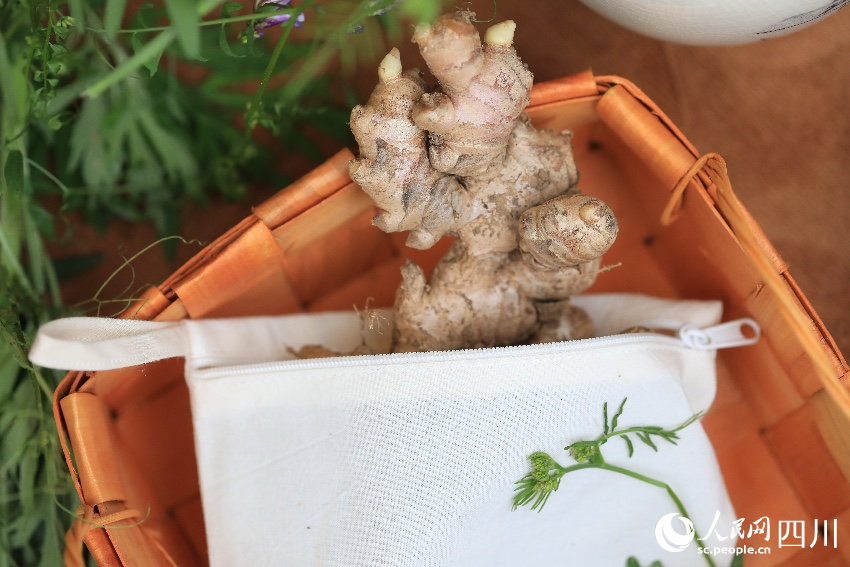 “成都生活市集”一角。人民網記者 朱虹攝