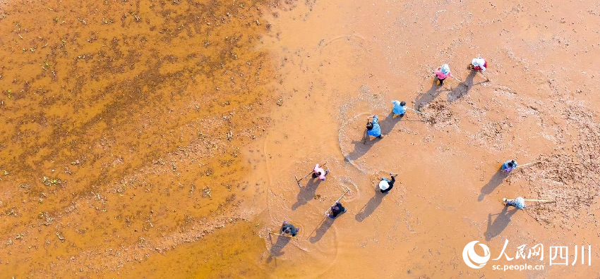 都江堰灌區。劉釗攝