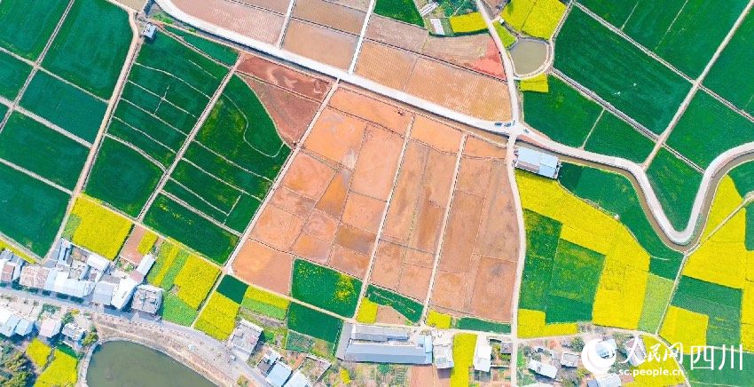 都江堰灌區。人民網記者 朱虹攝