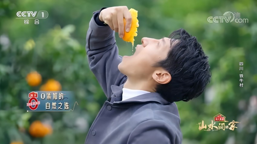 央視主持人撒貝寧品嘗“兩個替代”種出的蒲江愛媛果凍橙。蒲江縣委宣傳部供圖