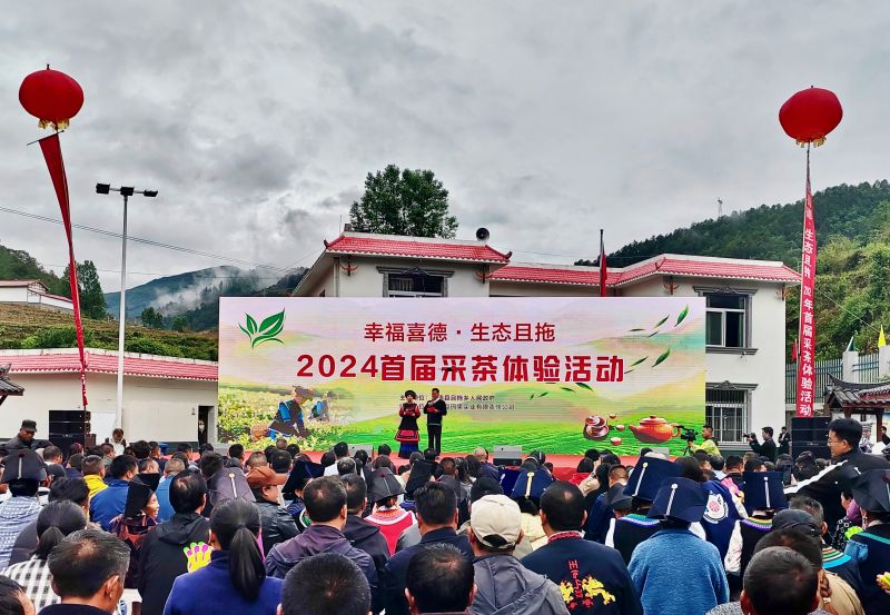 活動現場。喜德縣委組織部供圖