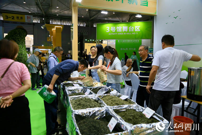 茶博會期間市民選購茶葉。人民網記者 朱虹攝