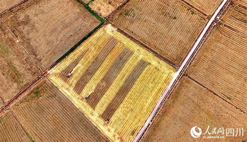 描繪屬于大地的華章。潘建勇攝