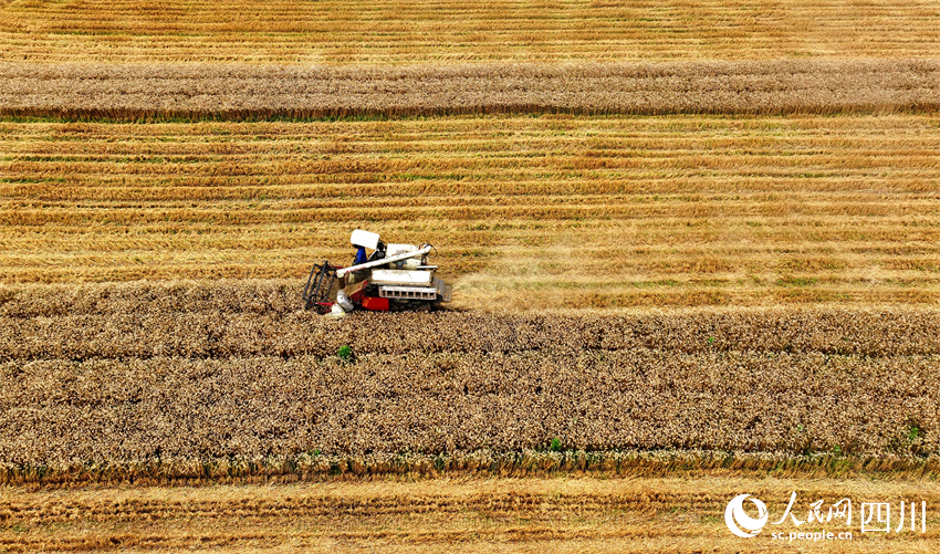 身前是目標，車后是成績。潘建勇攝