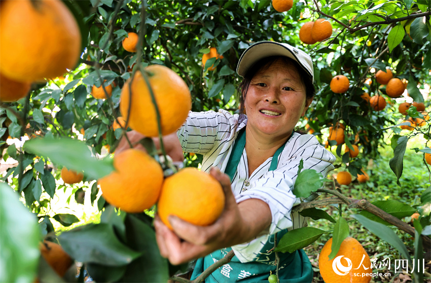 把握甜蜜好生活。人民網記者 劉海天攝