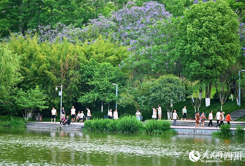 舉頭仰觀枝葉矗，低眉俯瞰波濤逐。人民網記者 劉海天攝