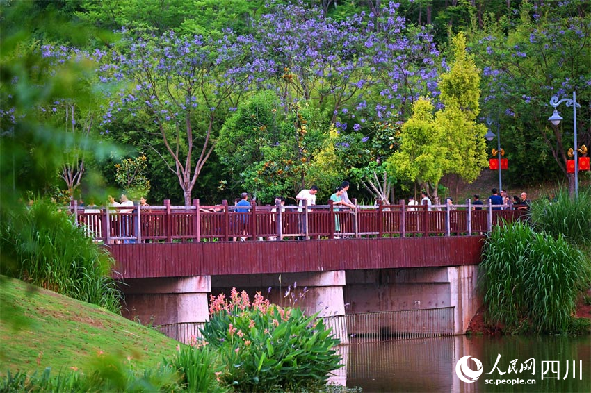 橋頭風景應無數，游人看取花一簇。人民網記者 劉海天攝