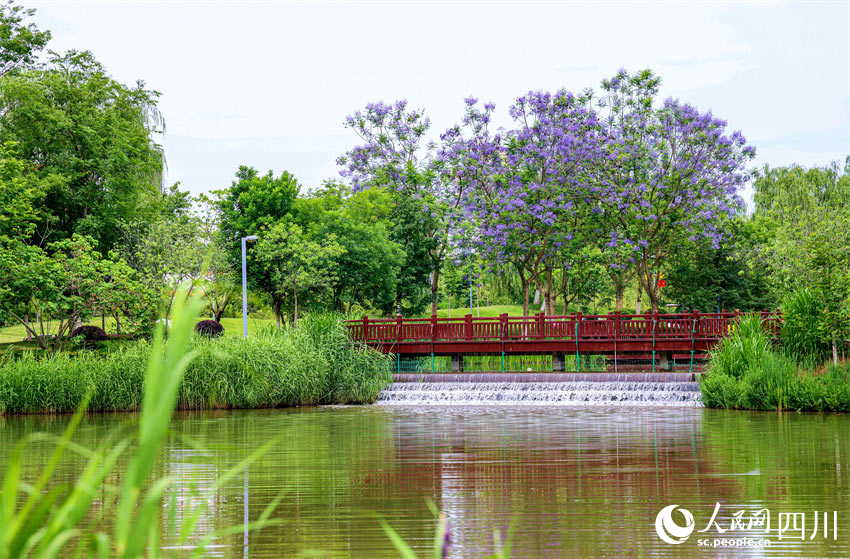 一身花影歌傾訴，十里平湖笑忘書。人民網記者 劉海天攝