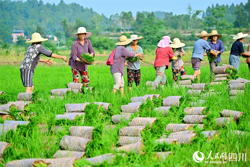 振興志氣大，奮斗心手連。人民網記者 劉海天攝