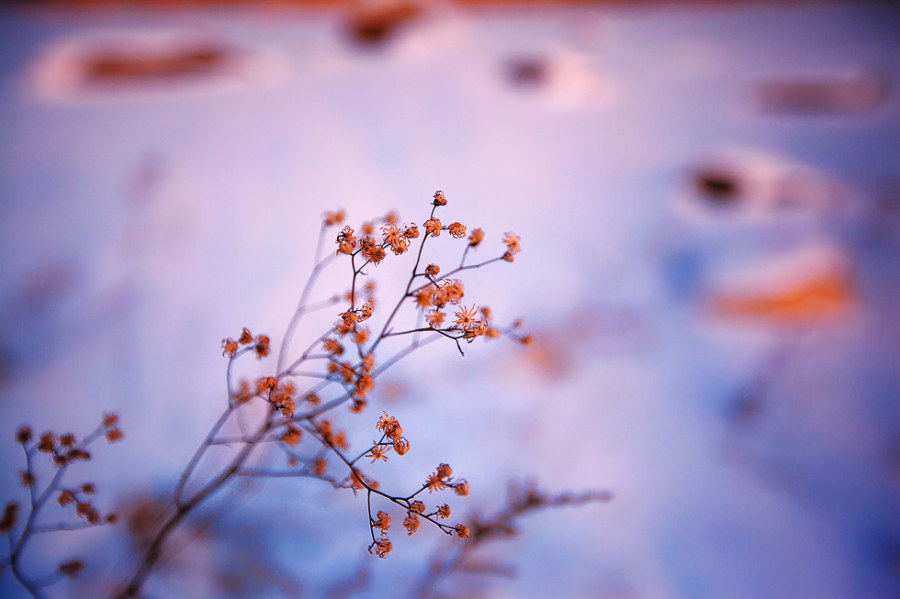 用好用足我國經濟發展優勢2024北京圖書訂貨會在北京開幕。本屆訂貨會以“堅定文化自信，鑄就出版新輝煌”為主題，集中展示圖書40余萬種。