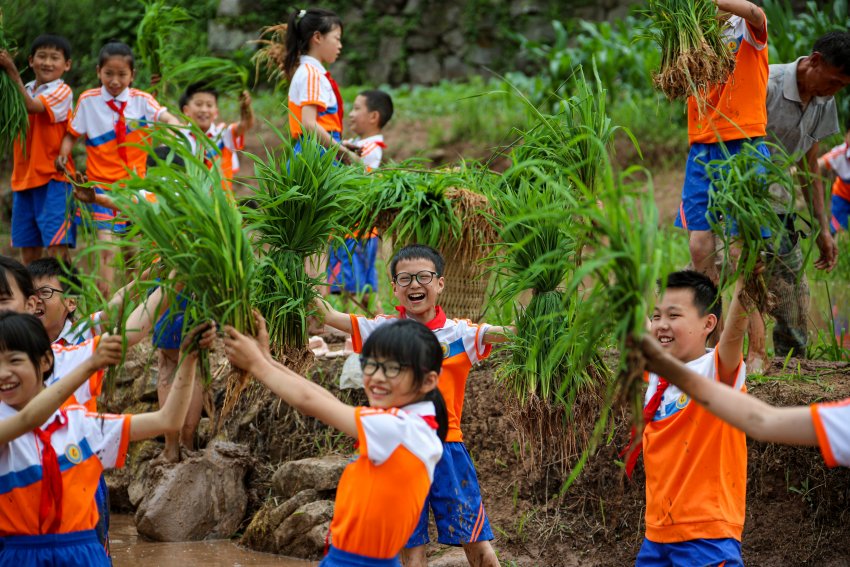 在田里插秧的孩子們。宣漢縣委宣傳部供圖