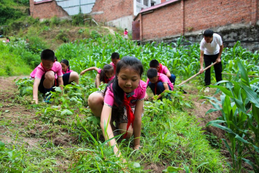 正在除草的孩子。宣漢縣委宣傳部供圖