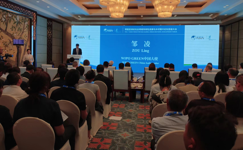 鄒凌在活動上致辭。人民網記者 劉海天攝