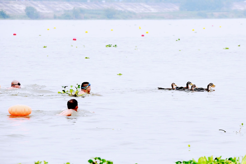 “抓鴨子”比賽現場。東坡區委宣傳部供圖