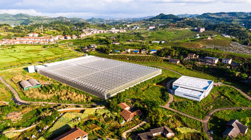 鳳儀灣循環農業園智能溫室大棚。四川港投供圖