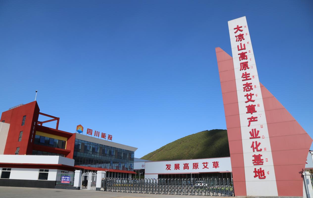四川能投大涼山高原艾草生態產業園區。四川能投供圖