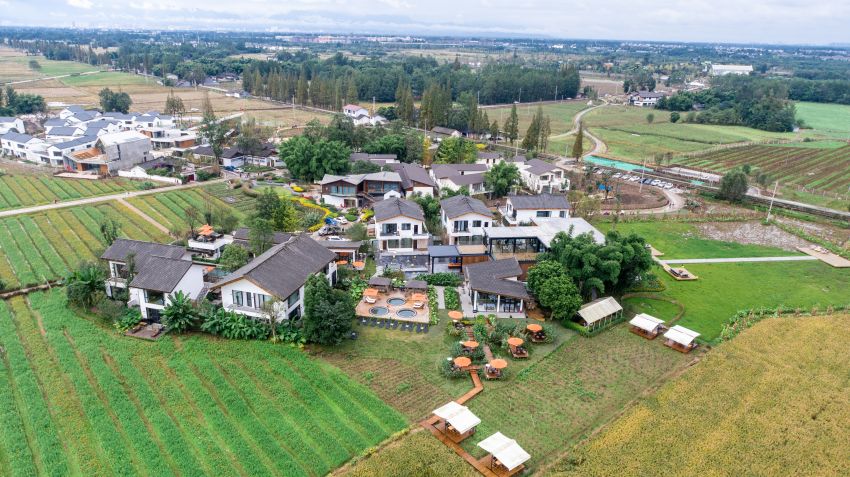 安仁鎮南岸美村。大邑縣農業農村局、大邑縣融媒體中心供圖