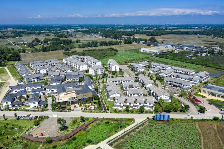 安仁鎮新福社區。大邑縣農業農村局、大邑縣融媒體中心供圖