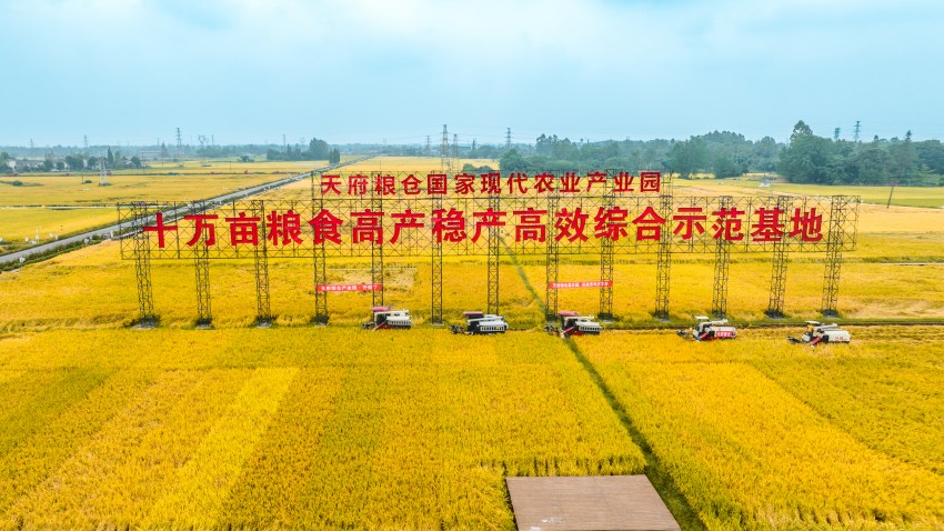 成都市天府糧倉國家現代農業產業園區。崇州市委宣傳部供圖