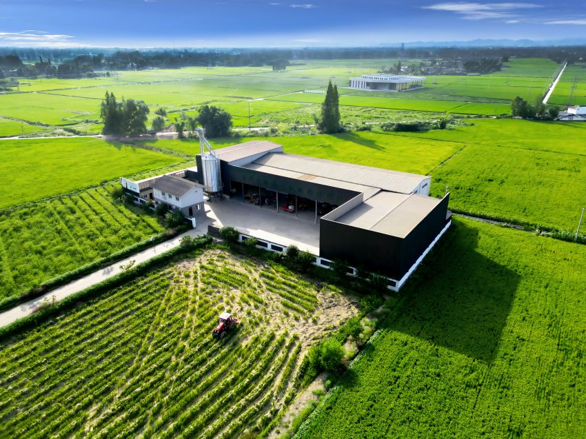 崇州市楊柳土地股份合作社烘貯中心。崇州市委宣傳部供圖