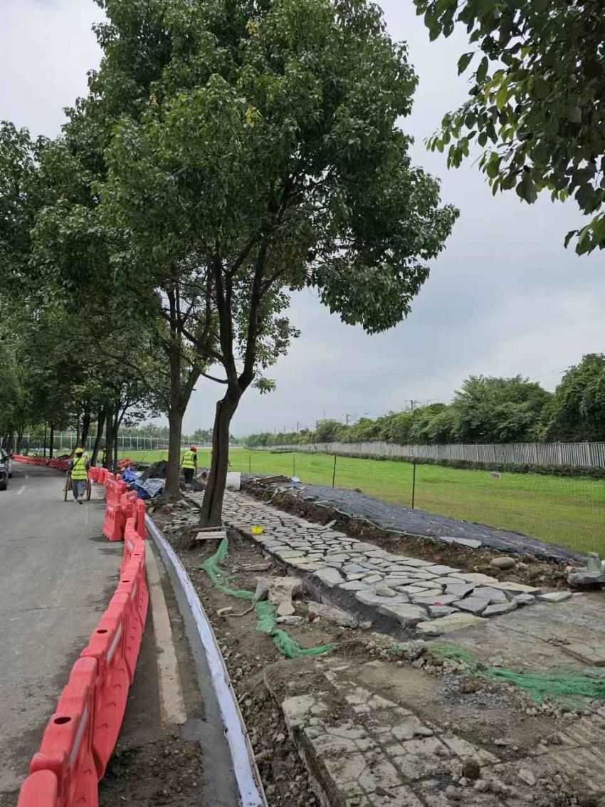 國資金融局+都江堰結對聯動：青城園區周邊示范段打造。青城合作片區管委會供圖